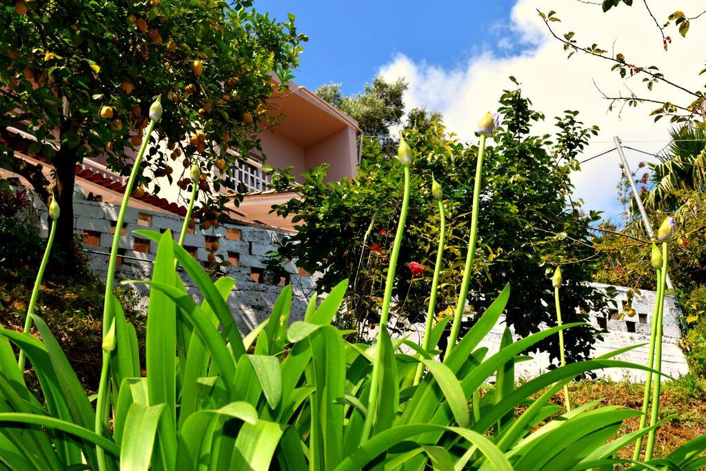 Eden Sea View Studios Mesongí Exteriér fotografie