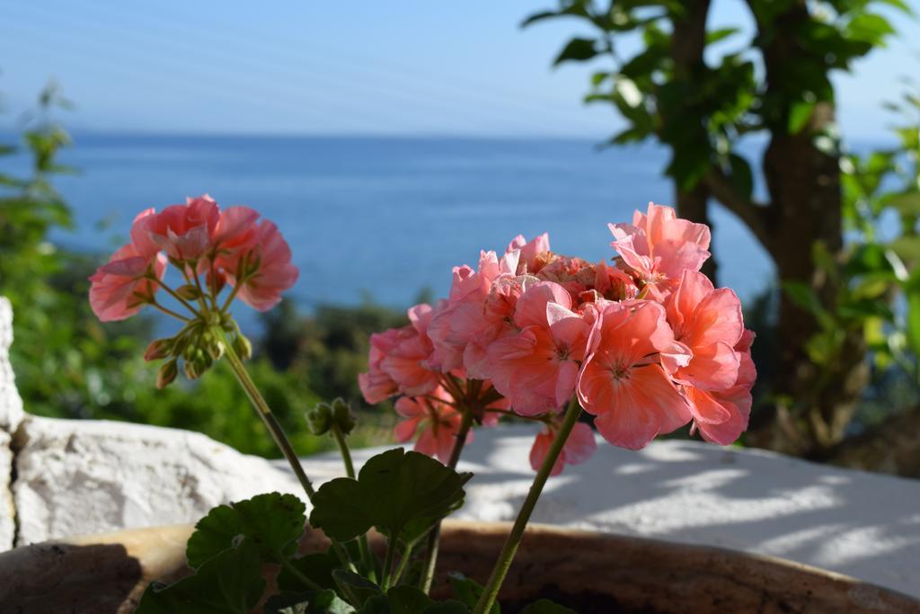 Eden Sea View Studios Mesongí Exteriér fotografie